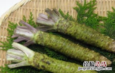 芥末怎么种好 芥末怎么种好吃又简单