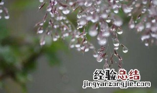 我心深深处中有千千结什么意思 我心深深处 中有千千结