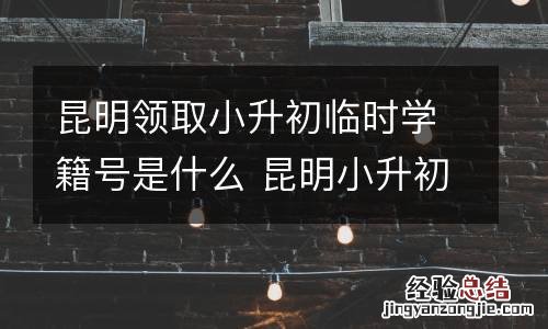昆明领取小升初临时学籍号是什么 昆明小升初按学籍还是户籍