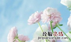 寓意春天清新淡雅的女孩名字 清新的女孩子名字