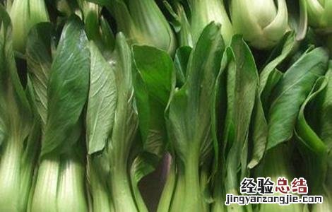 种植油菜花的注意事项 油菜种植的注意事项