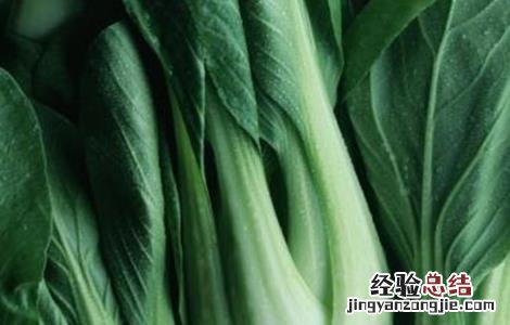 种植油菜的基本流程是什么 种植油菜的基本流程