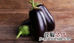 茄子好吃的做法怎么做 茄子好吃的制作方法