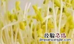豆芽没焯水直接炒行吗 豆芽没焯水能吃吗