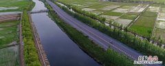 水稻孕穗期可以打灭草松吗 水稻孕穗能打灭草松吗