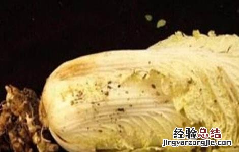 白菜根肿病病症 白菜根肿病症状及防治