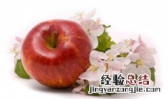 果树为什么要摘花 为什么要摘苹果花