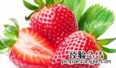 草莓花的花语是什么 草莓花语是什么意思