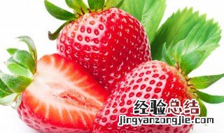 草莓花的花语是什么 草莓花语是什么意思