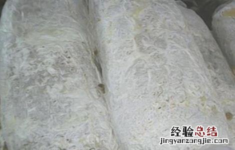 平菇不出菇的原因及解决方法 平菇发好菌不出菇什么原因