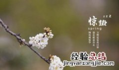 关于惊蛰的优美句子推文 关于惊蛰的优美句子