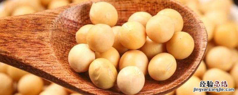 大豆是黄豆吗 大豆与黄豆的区别是什么