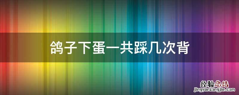 鸽子要踩背几次才能生蛋 鸽子下蛋一共踩几次背