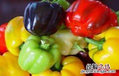 甜辣椒的种植方法和时间 甜椒的种植时间与方法