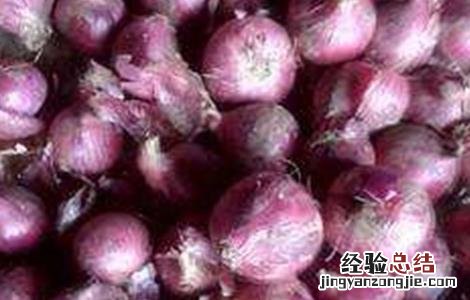 洋葱头腐烂的原因及防治方法图片 洋葱头腐烂的原因及防治方法