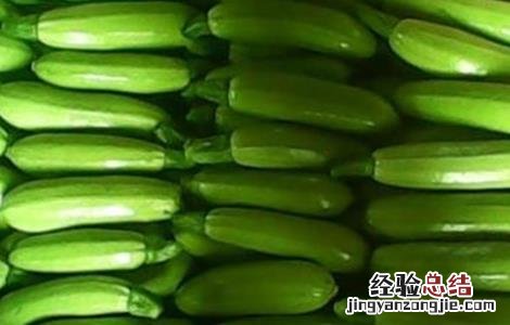 西葫芦高产栽培技术 西葫芦高产栽培技术要点