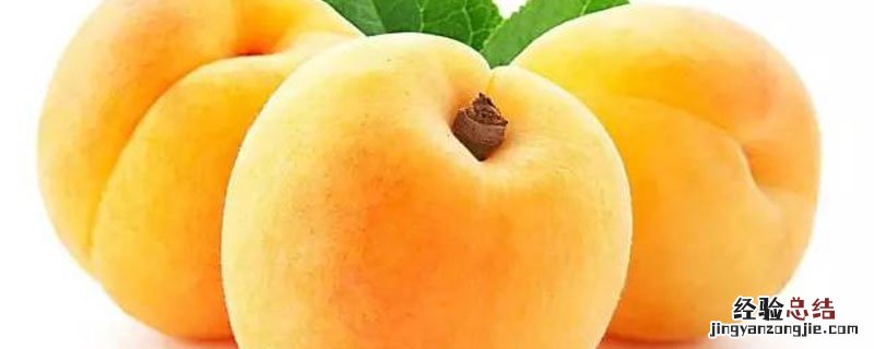 锦绣黄桃亩产量 锦绣黄桃亩种植多少株