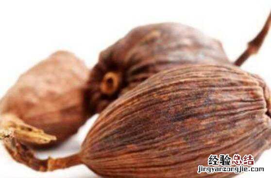 肉蔻和草果的区别在哪 肉蔻和草果的区别