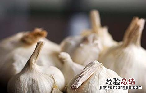大蒜常见病害成因及防治方法 大蒜畸形的原因及防治措施