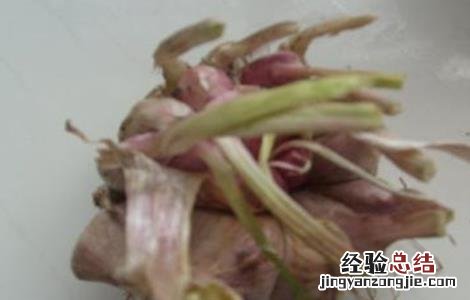 大蒜常见病害成因及防治方法 大蒜畸形的原因及防治措施
