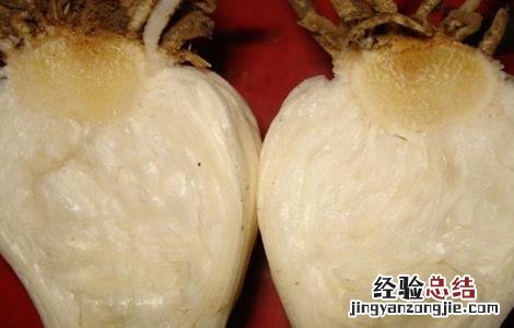 大蒜常见病害成因及防治方法 大蒜畸形的原因及防治措施
