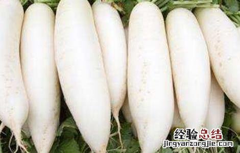 萝卜的常见病虫害防治 秋季萝卜易患病害及防治