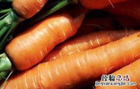 早春胡蘿蔔的田間管理