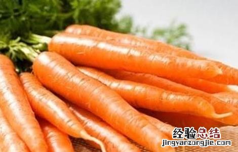 早春胡蘿蔔的田間管理