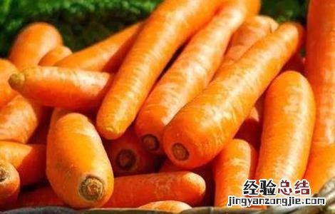 早春胡蘿蔔的田間管理