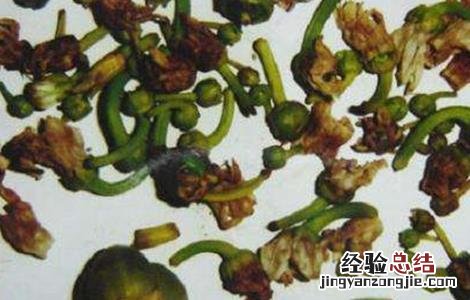 辣椒落花落果的原因及防治方法 辣椒落花落果的原因及防治方法