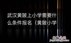 黄陂小学怎么划片招生 武汉黄陂上小学需要什么条件报名