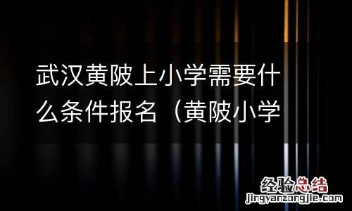 黄陂小学怎么划片招生 武汉黄陂上小学需要什么条件报名