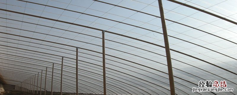 温室养殖技术 怎么学习温室工程