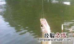 鱼会自动吐出鱼钩吗图片 鱼会自动吐出鱼钩吗