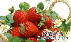 草莓身上的斑点是种子么 草莓身上的斑点是种子吗?