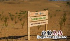 支付宝种树有啥用 支付宝种树有什么用?