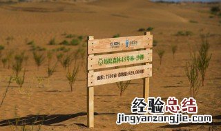 支付宝种树有啥用 支付宝种树有什么用?