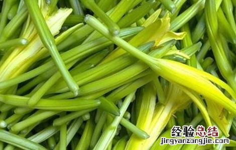 黄花菜高产的施肥方法视频 黄花菜高产的施肥方法