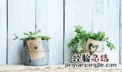 秋天可以种什么花草 秋天可以种什么花草呢