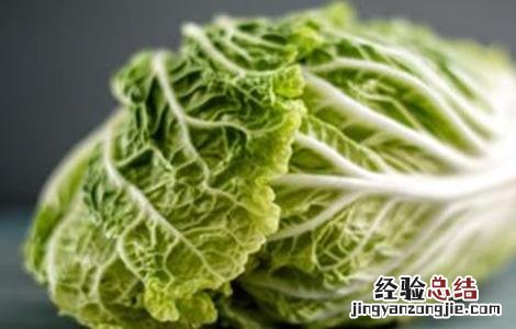白菜高产栽培技术 白菜的高产管理技术