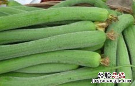 丝瓜发育不良怎么办 丝瓜发育不良怎么办图片