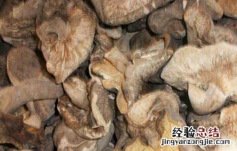香菇畸形的原因及防治措施 香菇畸形的原因及防治措施图片