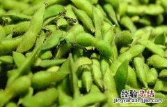 毛豆水灾后该怎么办