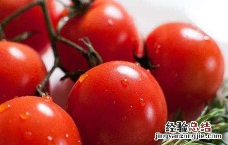 西红柿空心的原因及防治 西红柿空心病