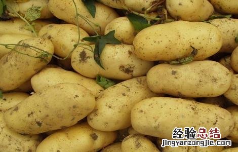 土豆怎么才能高产 土豆怎样才能高产