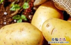 土豆怎么才能高产 土豆怎样才能高产