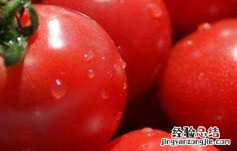 西红柿挂不住果怎么办 西红柿坐不住果怎么办