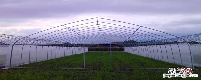温室大棚造价是多少 日光温室大棚造价是多少
