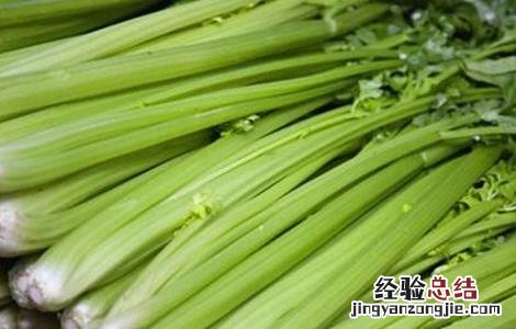 芹菜死苗到底是啥原因? 芹菜死苗怎么办