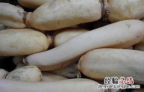 莲藕采收时的注意事项有哪些 莲藕采收时的注意事项